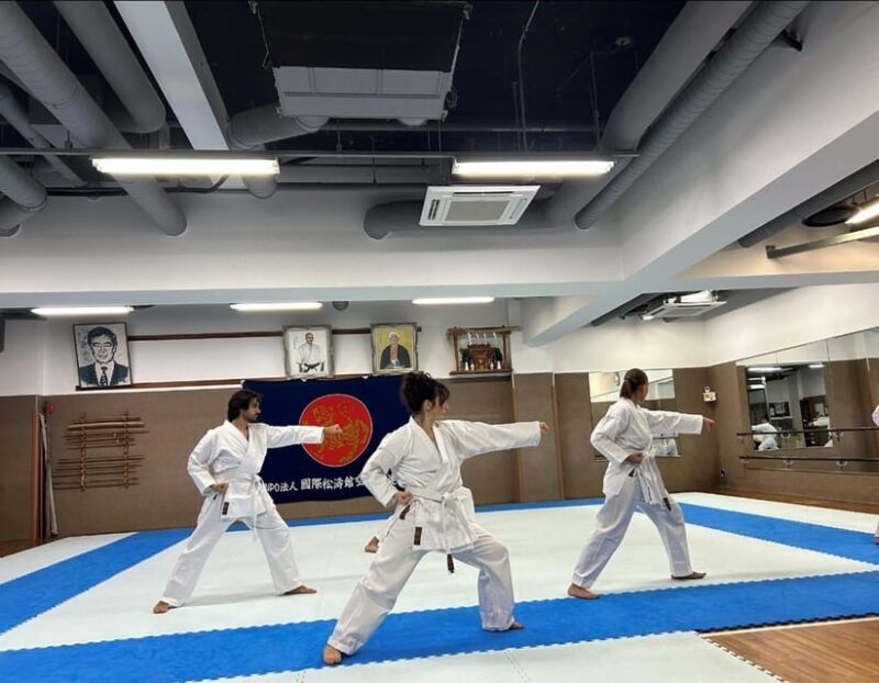 Karate Experience with the Shotokan Karate-do Instructor - What Makes This Karate Experience Stand Out?