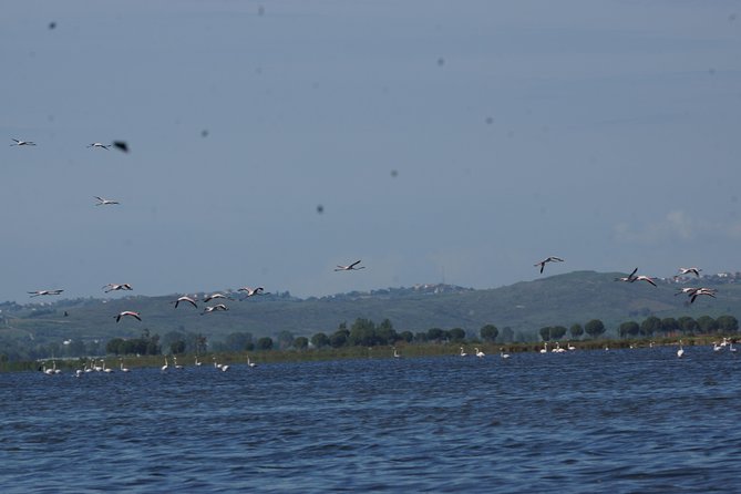 Karavasta Lagoon and Boat Trip - Daily Tour From Tirana - Exploring Karavasta Lagoon