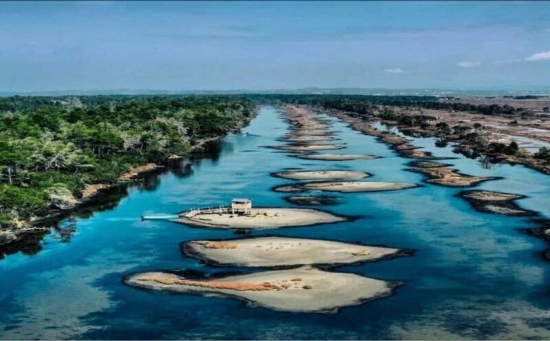 Karavasta:Bird Watching, Tower Views & Lagoon Boat Ride - Exploring the Wild Beauty of Albania’s Karavasta Lagoon: Bird Watching, Tower Views & Lagoon Boat Ride