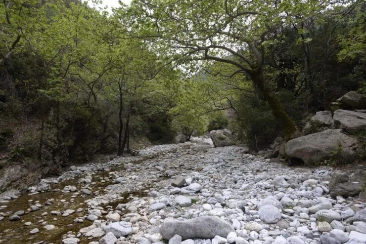Kardamili : Hiking in Ridomo Gorge - Hiking Experience Highlights
