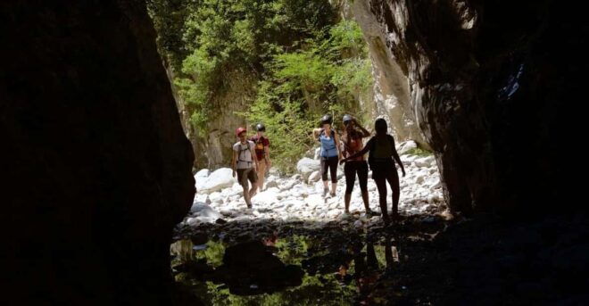 Kardamili : Hiking in Ridomo Gorge - Included Services