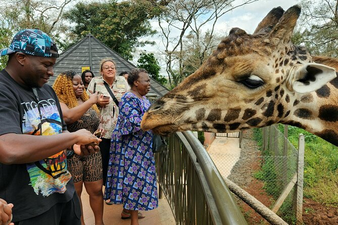 Karen Blixen Museum, Beads Craft and Giraffe Day Tour - Customer Reviews