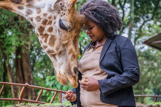 Karen Blixen Museum & Giraffe Centre Half Day Tour - Frequently Asked Questions