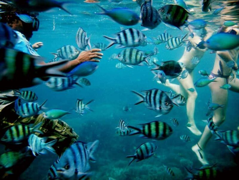 Karimunjawa Kayaking and Snorkeling - An In-Depth Look at the Tour Experience