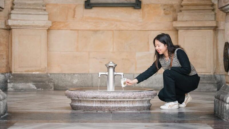 Karlovy Vary: Mineral Hot Springs Tasting and Walking Tour - Good To Know