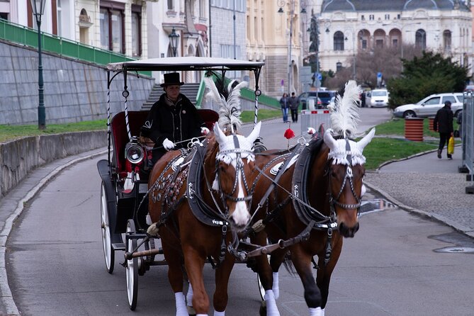 Karlovy Vary - Visit the Most Beautiful Spa Town in Private Tour - Pricing and Cancellation Policy