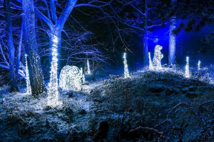 Karlsruhe: Christmas Garden Entrance Ticket - Experience Highlights