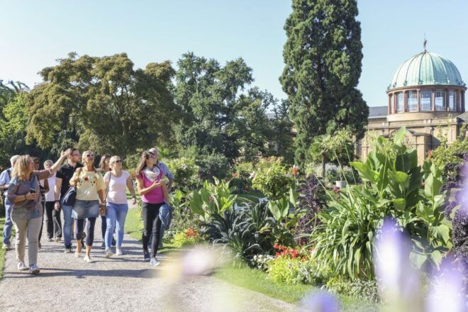 Karlsruhe: Guided City History & Culture Walking Tour - Experience Highlights