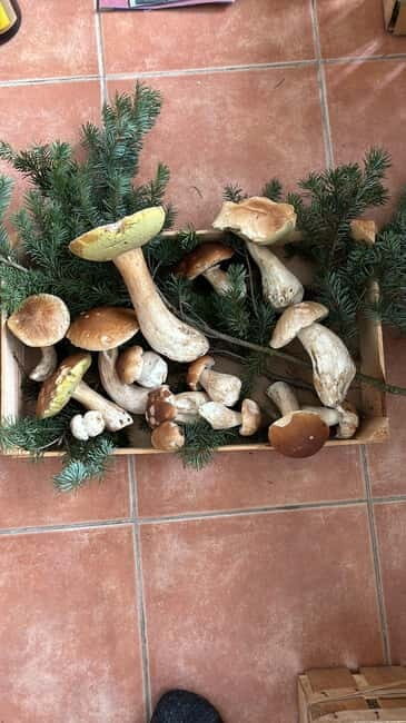 Karlsruhe: Local Cuisine Dinner with a Local Host - Good To Know