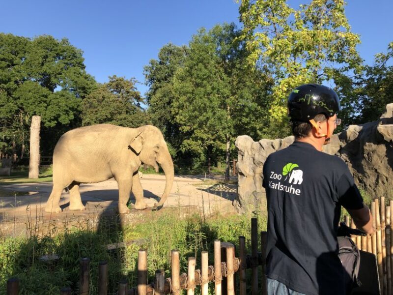 Karlsruhe: Unique Private Early Bird Segway Tour Zoo - An In-Depth Look at the Karlsruhe Private Segway Tour
