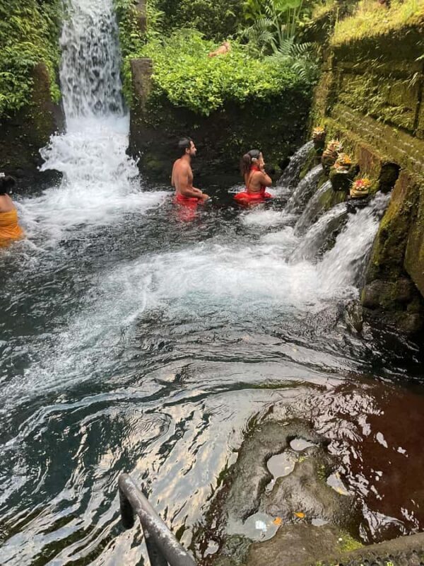 Karma and Clarity Bali Tour - Practical Tips for the Day  