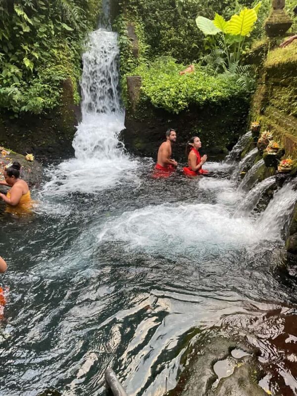 Karma and Clarity Bali Tour - FAQ  