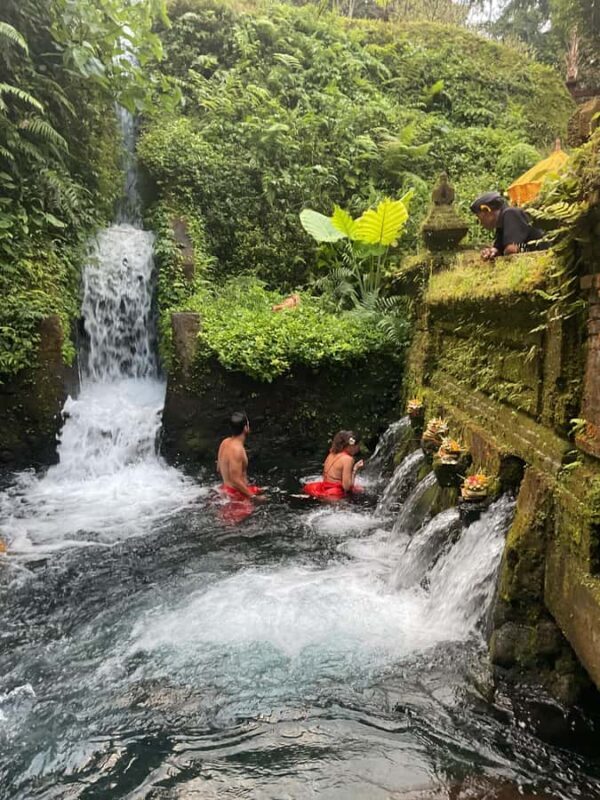 Karma and Clarity Bali Tour - Practical Details and Value