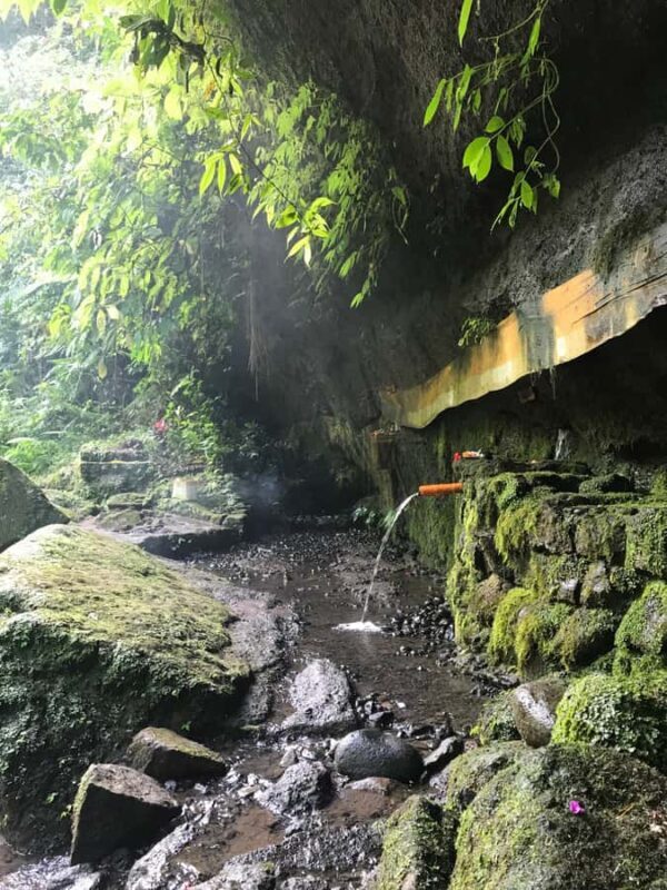 Karma Healing Journey in the Heart of Bali - The Practicalities