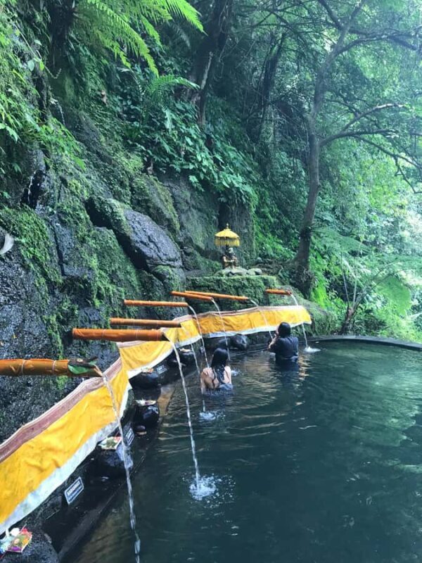 Karma Healing Journey in the Heart of Bali - Why This Tour Stands Out