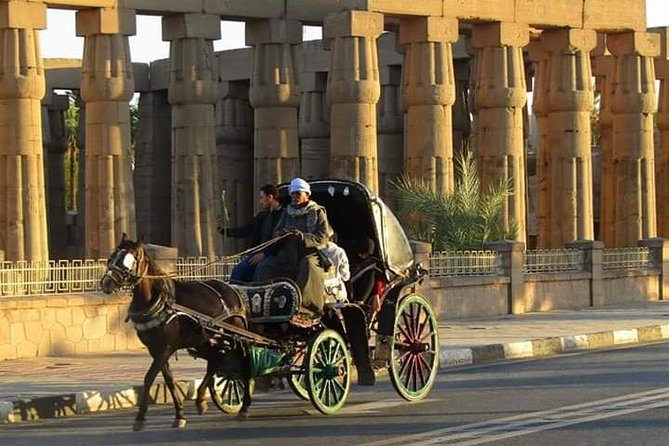 Karnak And Luxor Temples Private Tour - Details of the Private Tour