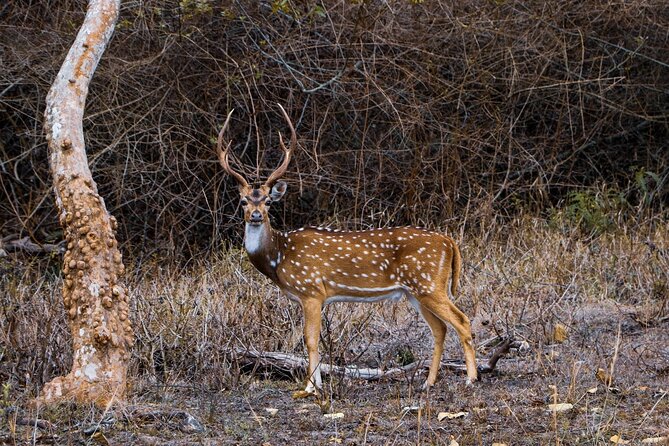 Karnala Bird Sanctuary Excursion From Mumbai - Important Policies to Note