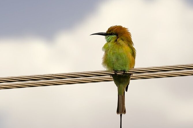 Karnala Bird Sanctuary Excursion From Mumbai - Customer Reviews and Ratings