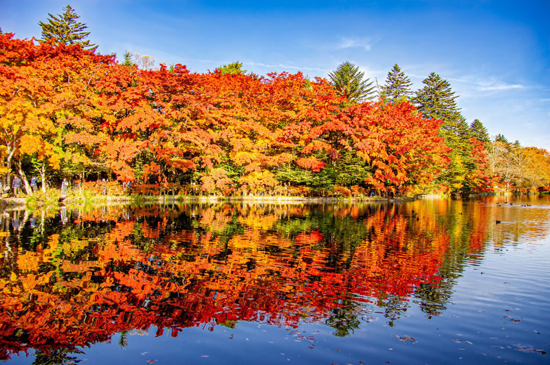 Karuizawa Day Tour | Shiraito Falls-Kumoba Pond-Old Karuizawa Ginza Street-Karuizawa Outlet | Depart from Shinjuku - The useful details at a glance