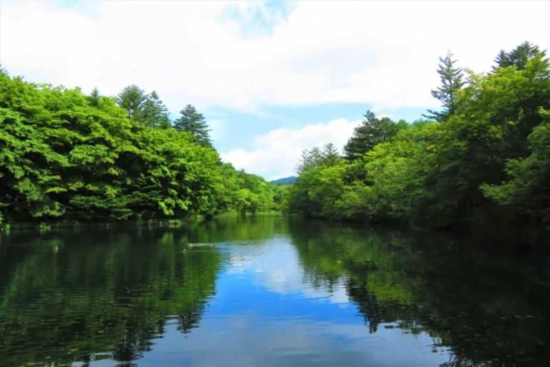 Karuizawa Day Tour | Shiraito Falls-Kumoba Pond-Old Karuizawa Ginza Street-Karuizawa Outlet | Depart from Shinjuku - Old Karuizawa Ginza: shops, snacks and a resort-town stroll