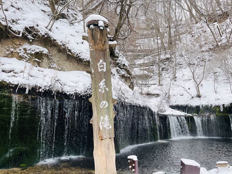Karuizawa Day Tour | Shiraito Falls-Kumoba Pond-Old Karuizawa Ginza Street-Karuizawa Outlet | Depart from Shinjuku - Should you book the Karuizawa day tour?