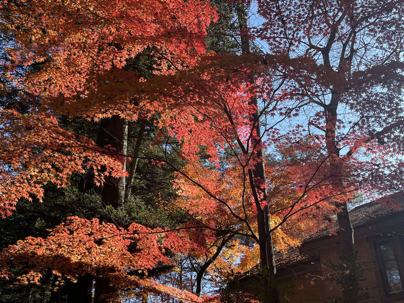 Karuizawa Day Trip: Shiraito Falls + Kumoba Pond + Outlet Shopping (Departing from Tokyo) - Prince Shopping Plaza: a big finish for shoppers