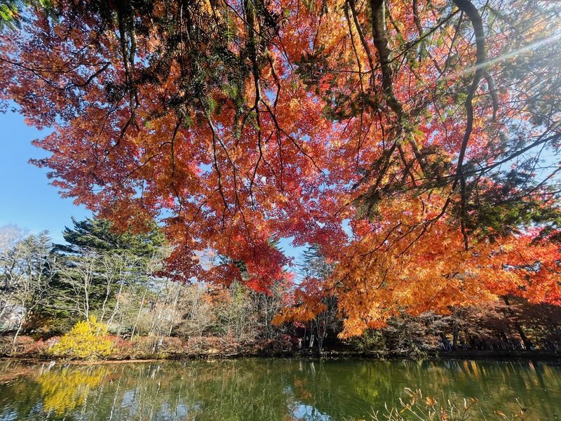 Karuizawa Day Trip: Shiraito Falls + Kumoba Pond + Outlet Shopping (Departing from Tokyo) - Guides, timing and the value of a shared tour