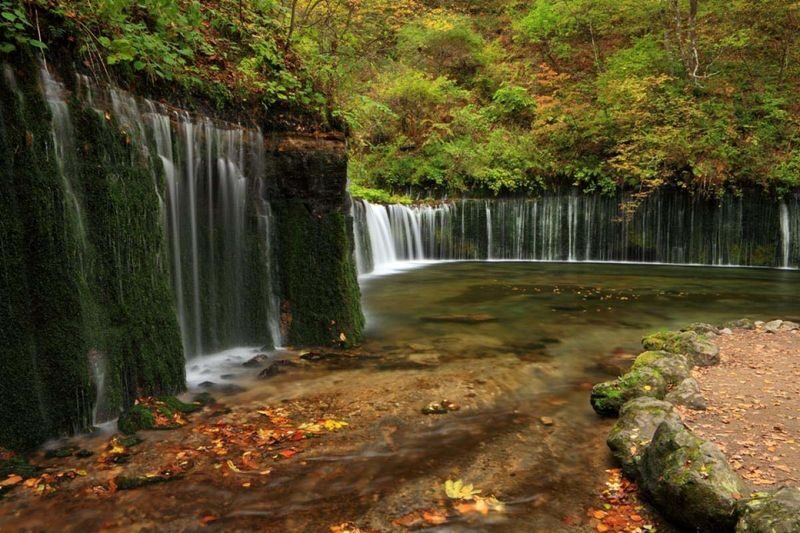 Karuizawa Day Trip: Shiraito Falls + Kumoba Pond + Outlet Shopping (Departing from Tokyo) - Who should book this Karuizawa day trip?