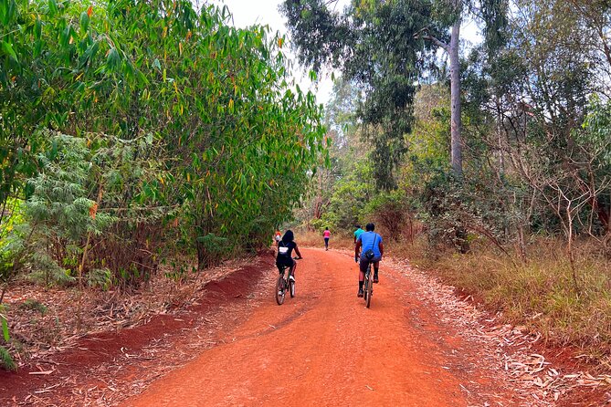 Karura Forest Nature Trail - Location and Inclusions