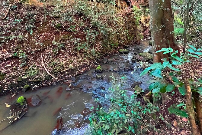 Karura Forest Nature Trail - Cancellation Policy Details