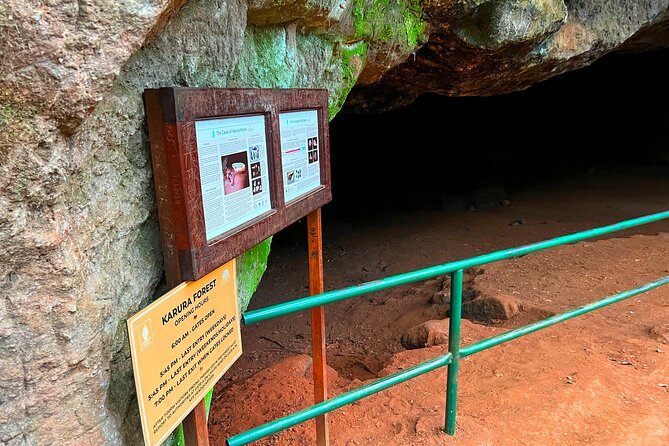 Karura Forest Nature Trail - Reviews and Ratings Summary