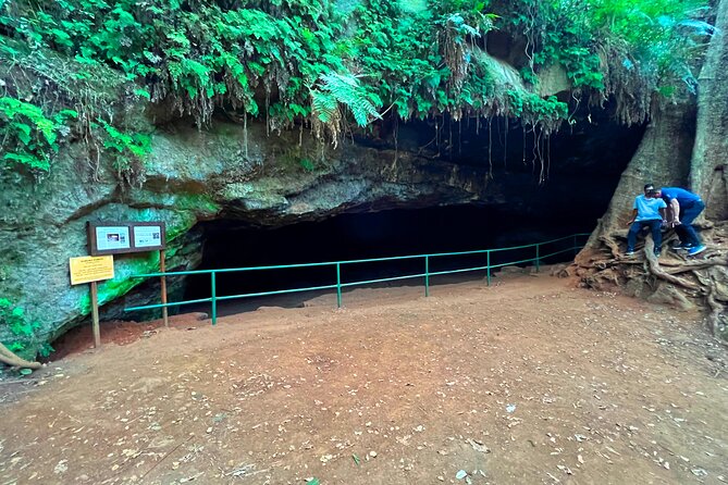 Karura Forest Nature Trail - Booking Options and Availability