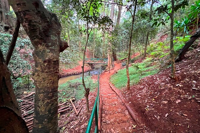 Karura Forest Nature Trail - Payment Process and Tour Duration