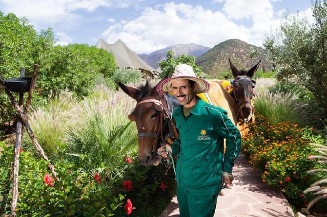 Kasbah Tamadot :Lunch at the Bransons - Booking Procedures and Policies
