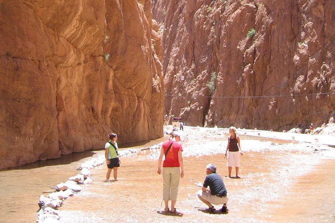 Kasbahs & Desert Adventure From Marrakech for 4 Days - The Sum Up