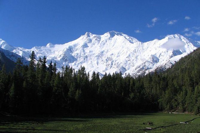 Kashmir With Delhi & Agra Northern Part of India - Sightseeing Inclusions