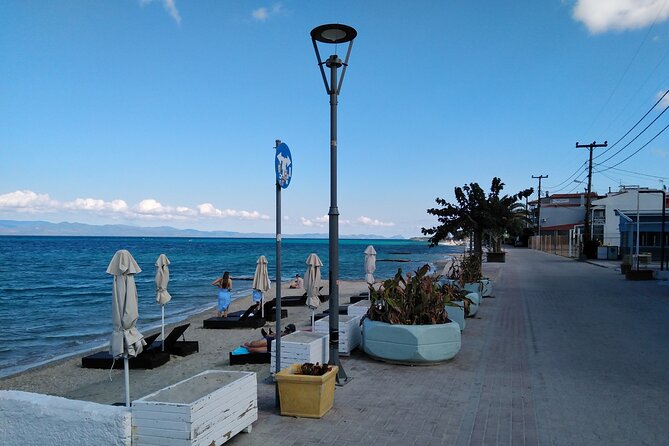 Kassandra Chalkidikis Private Daytrip - Local Cuisine and Dining Options