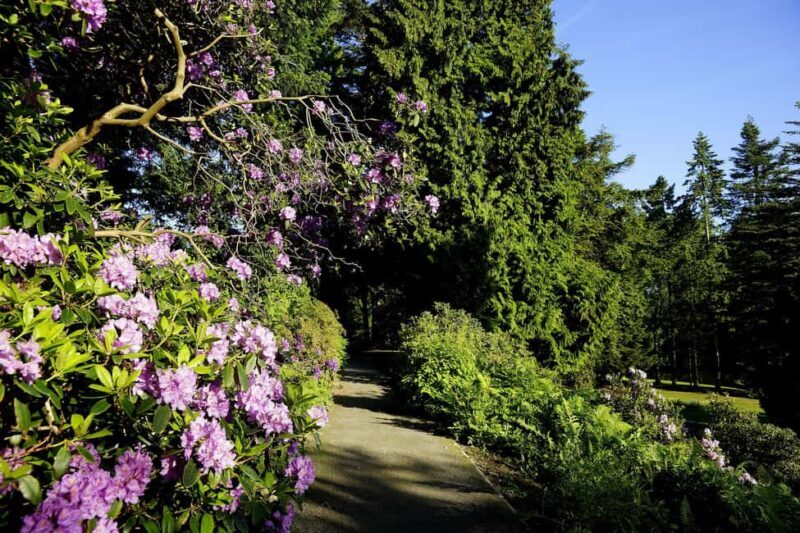 Kassel: Ready for the island?! Karlsaue and Siebenbergen in the scent of spring - Good To Know