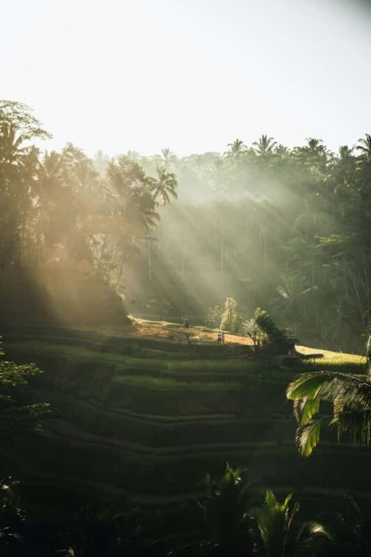 Kastala Tenganan Village Village Trekking - An In-Depth Look at the Kastala Tenganan Village Trek