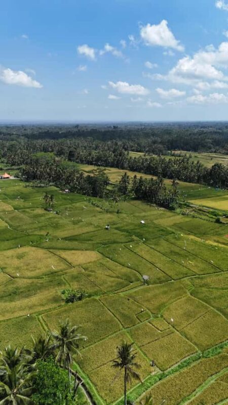 Kastala Tenganan Village Village Trekking - The Itinerary Breakdown: What You Can Expect