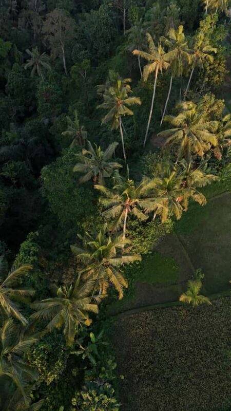 Kastala Tenganan Village Village Trekking - FAQ