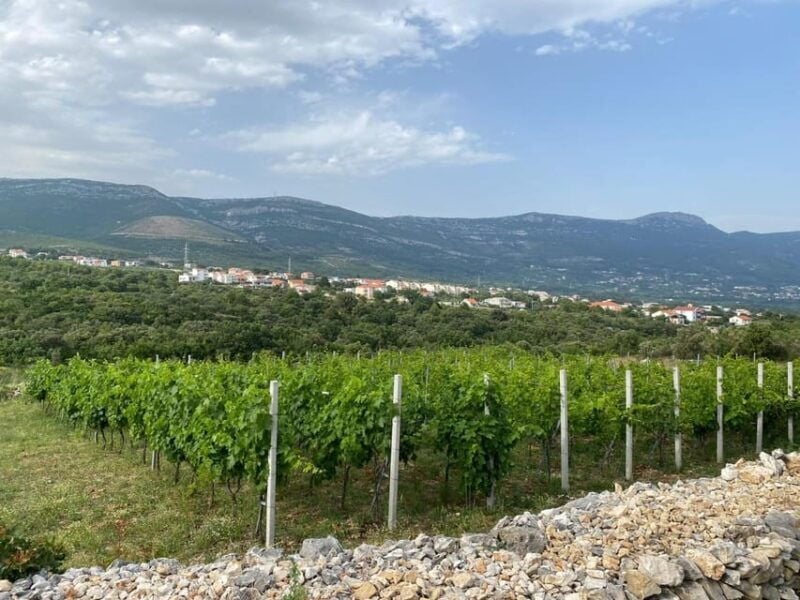 Kastela: Wine & Olive Tasting Tour w/Delicacies & Live Music - Good To Know