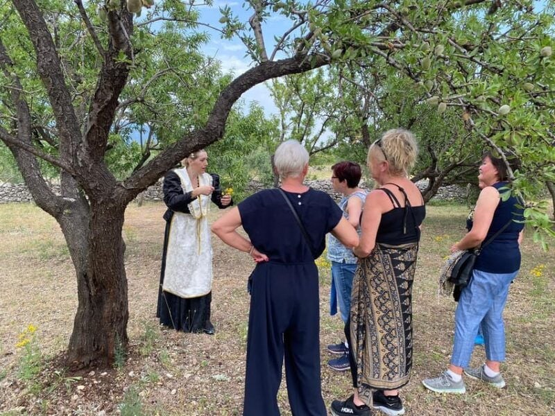 Kastela: Wine & Olive Tasting Tour w/Delicacies & Live Music - Practical Details and Value