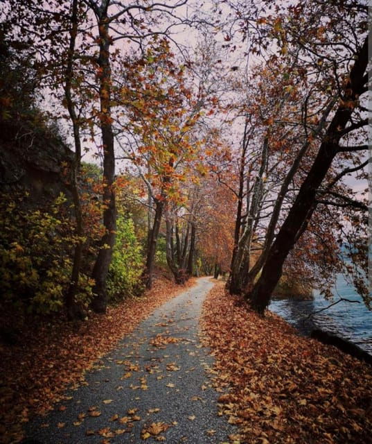 Kastoria: Bike Experience Around The Lake - Who Will Enjoy This Experience?