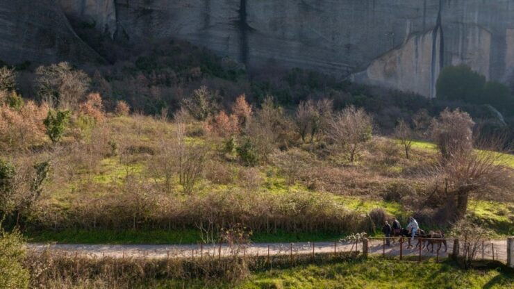 Kastraki: Meteora Animal-friendly Donkey Tour - Booking Information