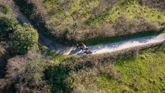 Kastraki: Meteora Animal-friendly Donkey Tour - Customer Reviews