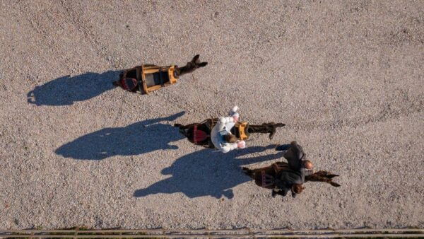 Kastraki: Meteora Animal-friendly Donkey Tour - The Sum Up