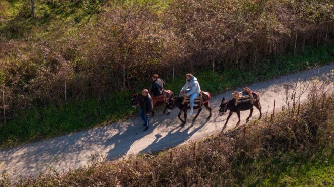 Kastraki: Meteora Donkey Ride - Booking Information