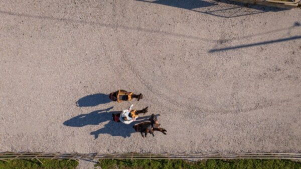 Kastraki: Meteora Donkey Ride - Additional Information