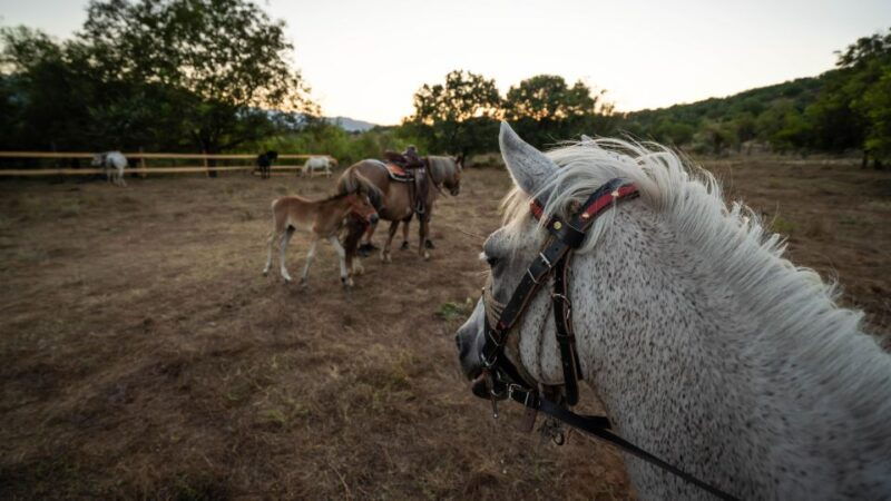 Kastraki: Meteora Sunset Horseback Riding - Practical Details  